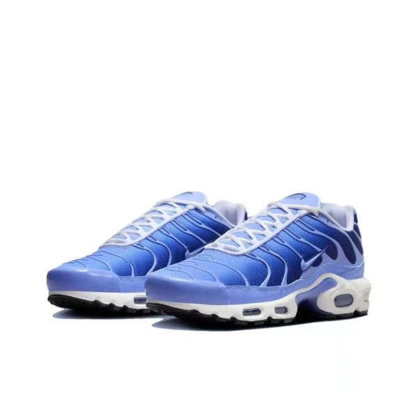 Airmax TN