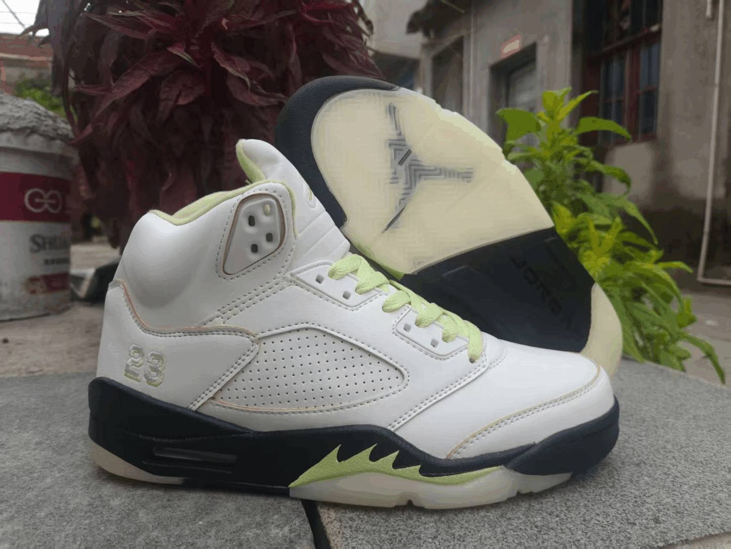 Jordan 5
