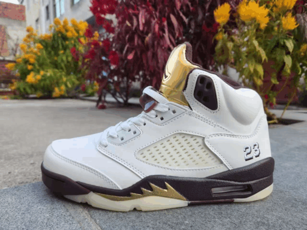 Jordan 5