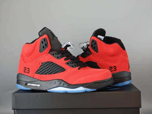 Jordan 5