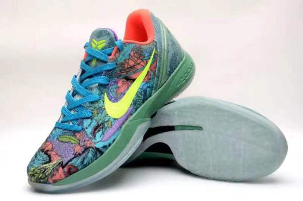 Kobe 6