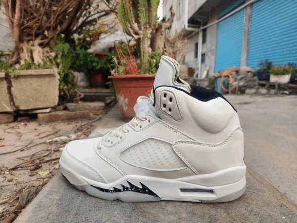 Jordan 5