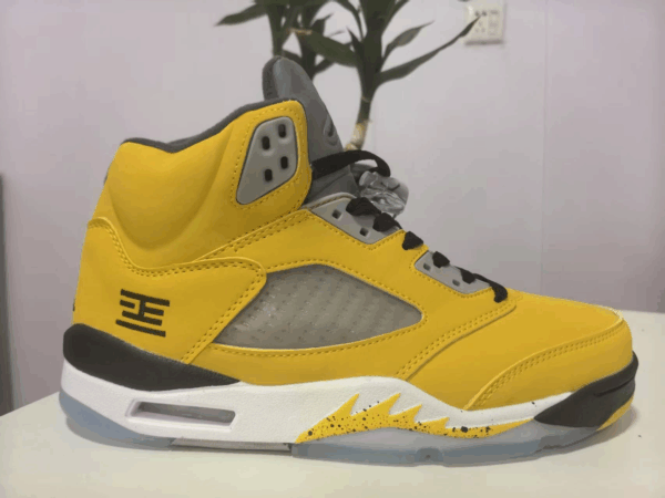 Jordan 5